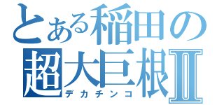 とある稲田の超大巨根Ⅱ（デカチンコ）