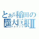 とある稲田の超大巨根Ⅱ（デカチンコ）