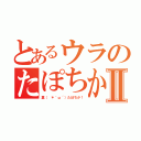 とあるウラのたぽちかⅡ（裏（ ＊｀ω´）たぽちか！）