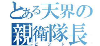 とある天界の親衛隊長（ピット）