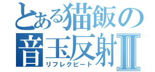 とある猫飯の音玉反射Ⅱ（リフレクビート）