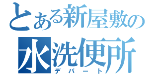 とある新屋敷の水洗便所（デパート）