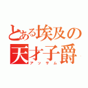 とある埃及の天才子爵（アッサム）