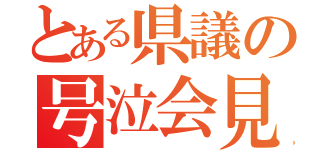 とある県議の号泣会見（）