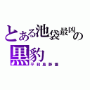 とある池袋最凶の黒豹（平和島静雄）