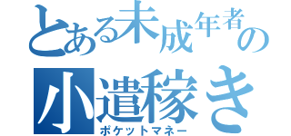 とある未成年者のの小遣稼き（ポケットマネー）