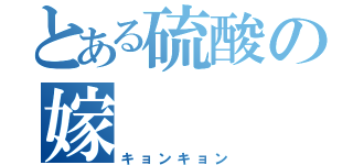 とある硫酸の嫁（キョンキョン）