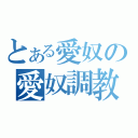 とある愛奴の愛奴調教（）