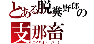 とある脱糞野郎の支那畜（ニイハオ（｀ハ´））