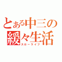 とある中三の緩々生活（スローライフ）