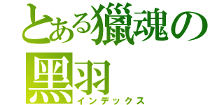 とある獵魂の黑羽（インデックス）