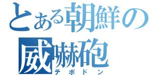 とある朝鮮の威嚇砲（テポドン）