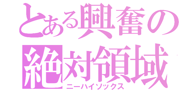 とある興奮の絶対領域（ニーハイソックス）