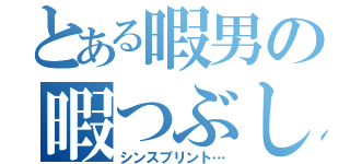 とある暇男の暇つぶし（シンスプリント…）