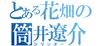 とある花畑の筒井遼介（シリンダー）