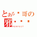 とある轩哥の邪恶计划（ＰＥＲＦＥＣＴ）