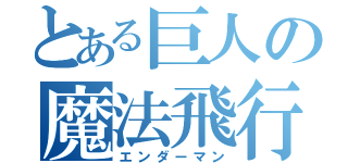 とある巨人の魔法飛行（エンダーマン）