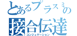 とあるプラスミドの接合伝達（コンジュゲーション）