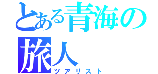 とある青海の旅人（ツアリスト）