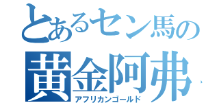 とあるセン馬の黄金阿弗利加（アフリカンゴールド）