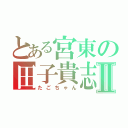 とある宮東の田子貴志Ⅱ（たごちゃん）