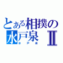 とある相撲の水戸泉Ⅱ（水戸泉）