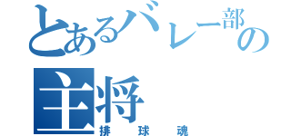 とあるバレー部の主将（排球魂）