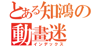 とある知鴻の動畫迷（インデックス）