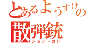 とあるようすけ先生の散弾銃（ショットガン）