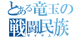 とある竜玉の戦闘民族（サイヤ人）