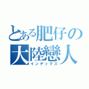 とある肥仔の大陸戀人（インデックス）