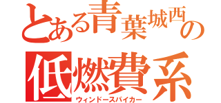 とある青葉城西の低燃費系男子（ウィンドースパイカー）