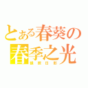 とある春葵の春季之光（録照日影）