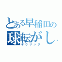 とある早稲田の球転がし（ボウリング）