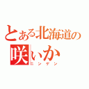 とある北海道の咲ぃか（ニンゲン）