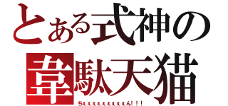 とある式神の韋駄天猫（ちぇぇぇぇぇぇぇぇぇん！！！）