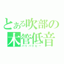 とある吹部の木管低音（バリバリビー）