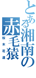 とある湘南の赤毛猿Ⅱ（桜木花道）