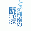 とある湘南の赤毛猿Ⅱ（桜木花道）