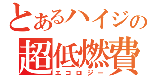 とあるハイジの超低燃費（エコロジー）