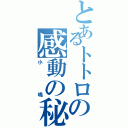 とあるトトロの感動の秘話（小嶋）