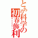 とある科学の初春飾利（サンフラワー）