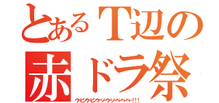 とあるＴ辺の赤ドラ祭（ウーピンウーピンウーソーウーソーぺーぺーぺー！！！）