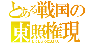 とある戦国の東照権現（とうしょうごんげん）