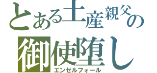 とある土産親父の御使堕し（エンゼルフォール）