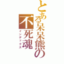 とある呆呆熊の不死魂Ⅱ（インデックス）