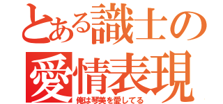 とある識士の愛情表現（俺は琴美を愛してる）