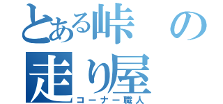 とある峠の走り屋（コーナー職人）