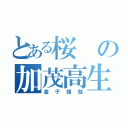 とある桜の加茂高生（金子雄哉）