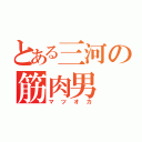 とある三河の筋肉男（マツオカ）